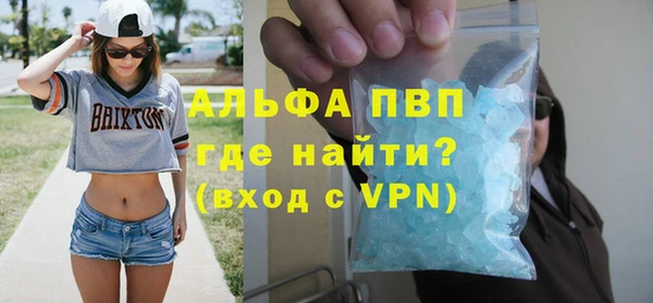 индика Арсеньев