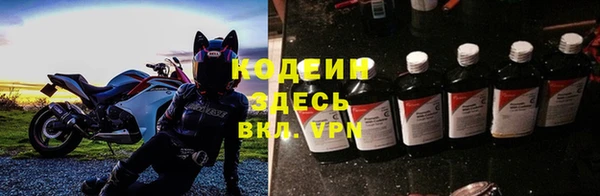 индика Арсеньев