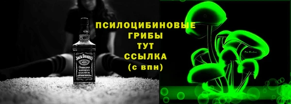 индика Арсеньев