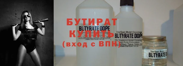 индика Арсеньев
