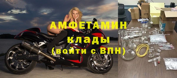 индика Арсеньев