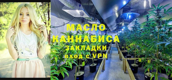 индика Арсеньев